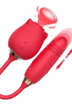 Vibrador de Ponto G e Clitóris com Vai e vem - Formato de Rosa - Cores